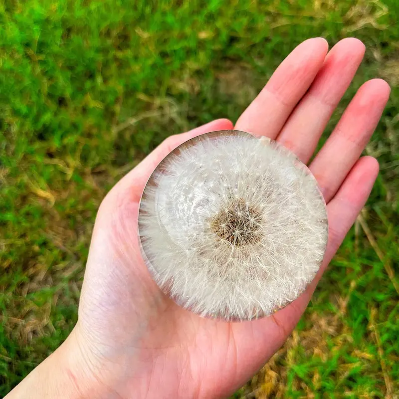 环氧树脂蒲公英球