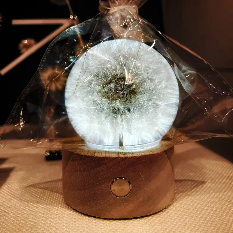 环氧树脂蒲公英球