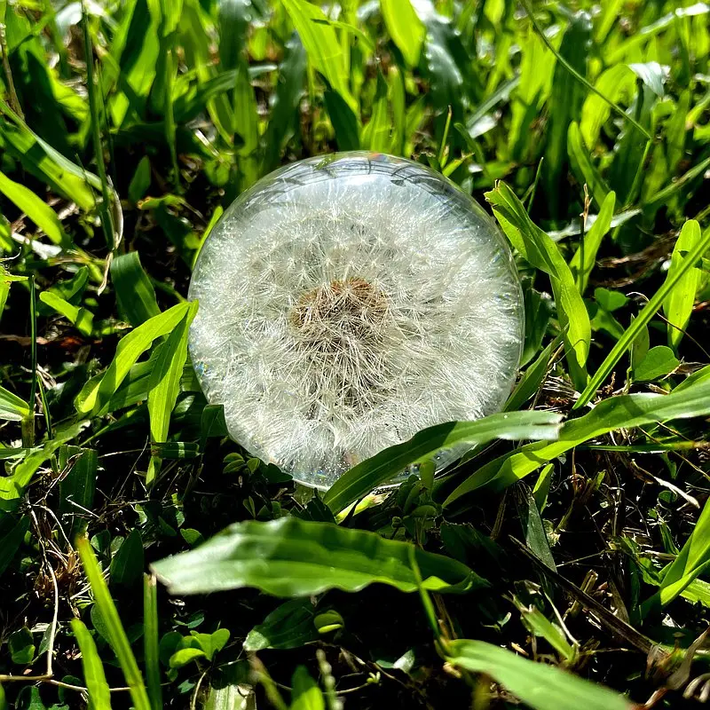 环氧树脂蒲公英球